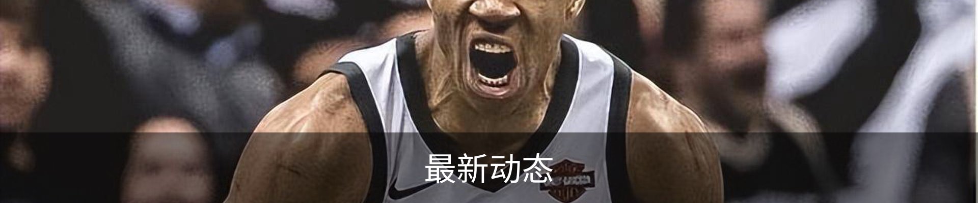 最新动态